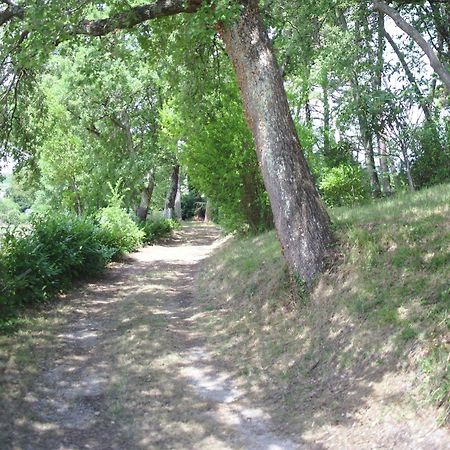 Lovely Holiday Home In Montefiridolfi With Hill View Экстерьер фото