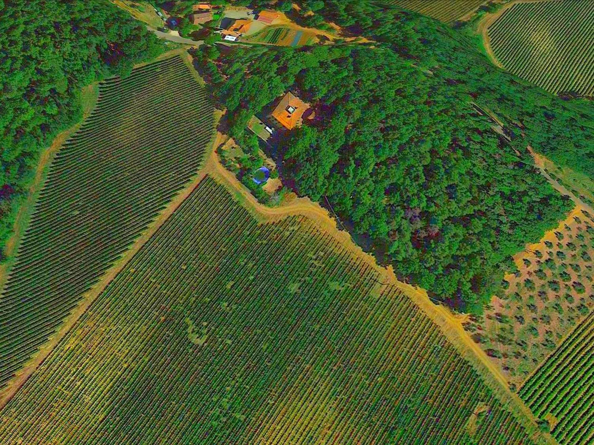 Lovely Holiday Home In Montefiridolfi With Hill View Экстерьер фото